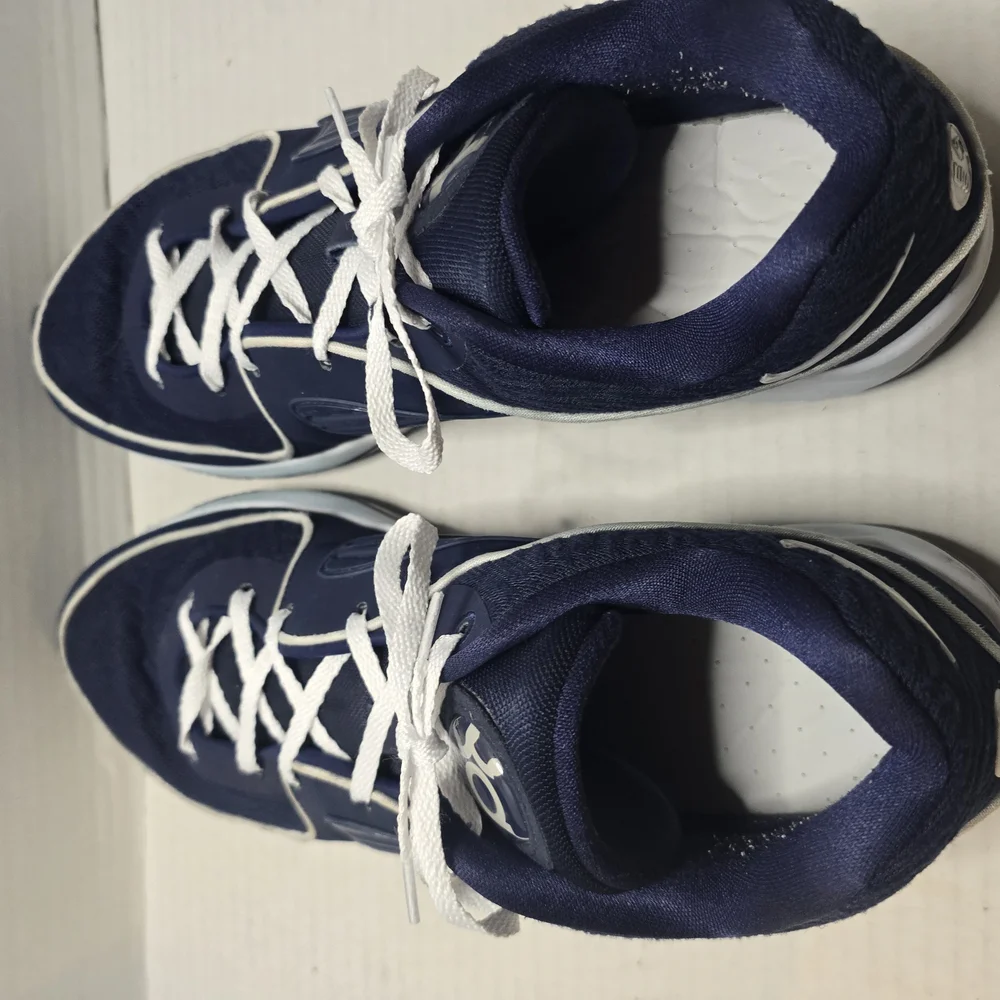Nike Blue and White Athletic Shoes with‎ Streamlined Design